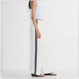 Aritzia Wilfred Thesis Pants